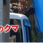 Thumbnail of related posts 011