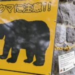 Thumbnail of post image 132