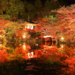 Thumbnail of post image 079