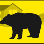 Thumbnail of post image 058