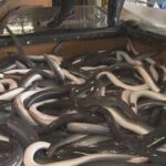 Thumbnail of post image 066