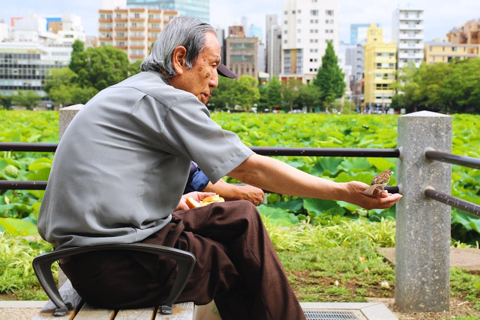 An elderly man feeds a bird in Ueno Park, Tokyo with a cityscape backdrop.