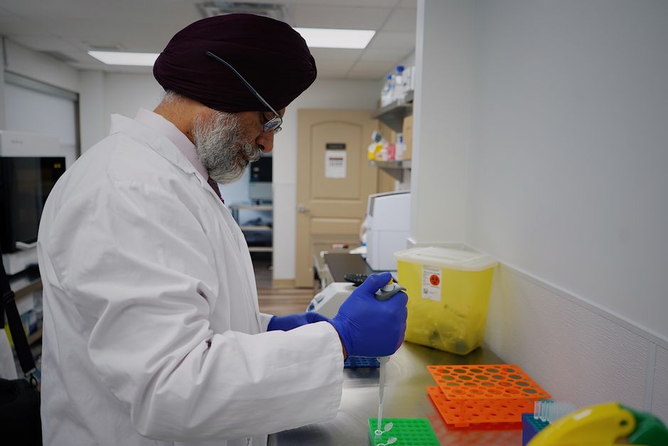 A researcher using a pipette over sample trays at a laboratory bench