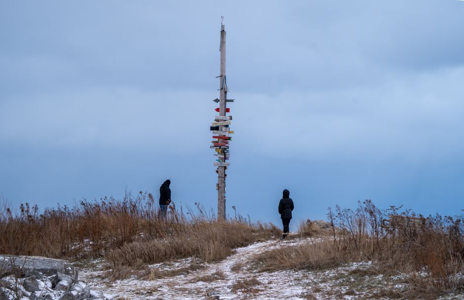 Signpost with arrows pointing in two different directions against the sky