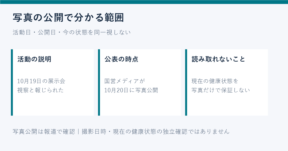 10月19日の活動とされる写真、20日の公開、現在の健康状態を区別した図